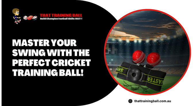 Cricket Training Ball