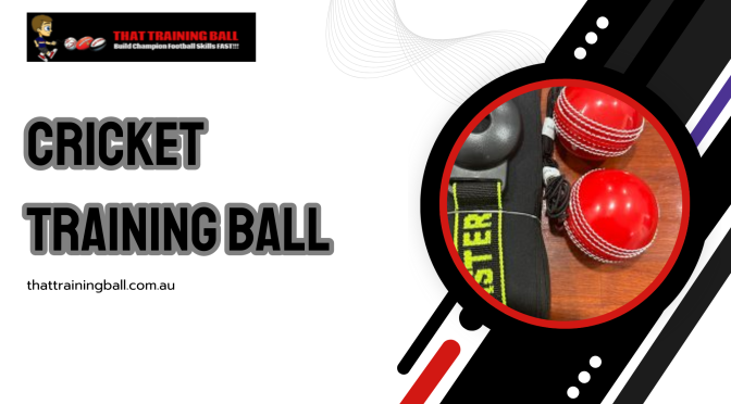 Commonly Asked Questions About Cricket Training Ball